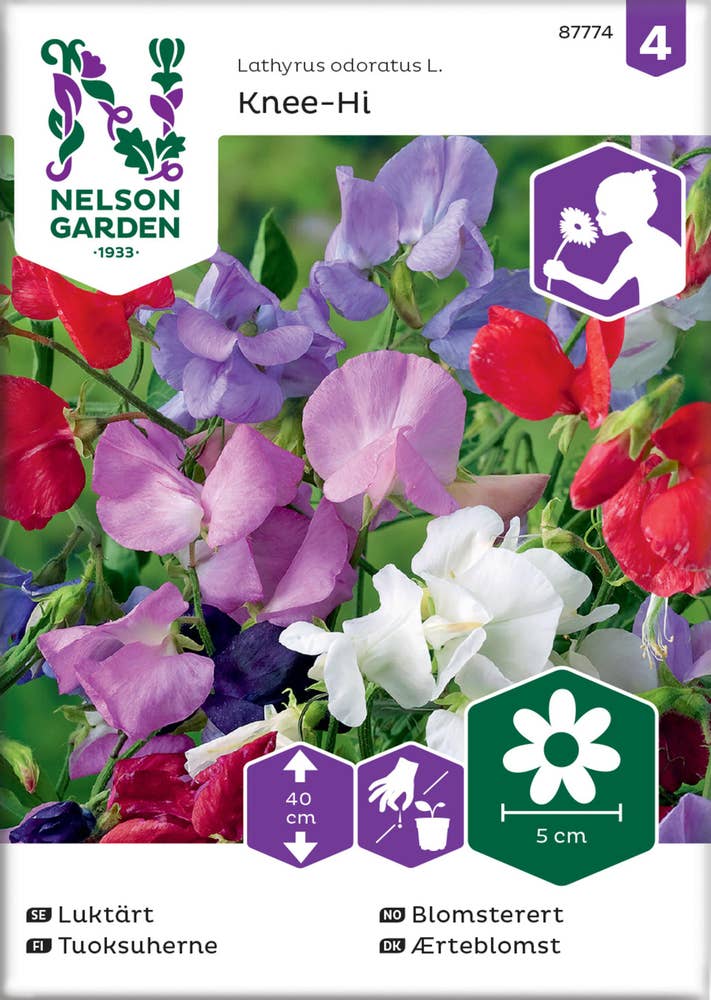 Nelson Garden Blomsterert-frø Blandede farger 'Knee-hi'