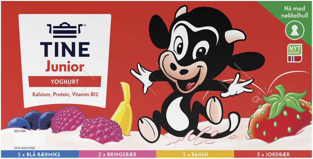 TINE Junior yoghurt Fruktmiks 8x125g