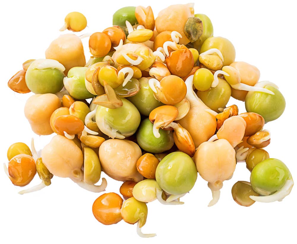 Økologiske Spiresnacks, Mix av Bønner, Erter & Linser Norge