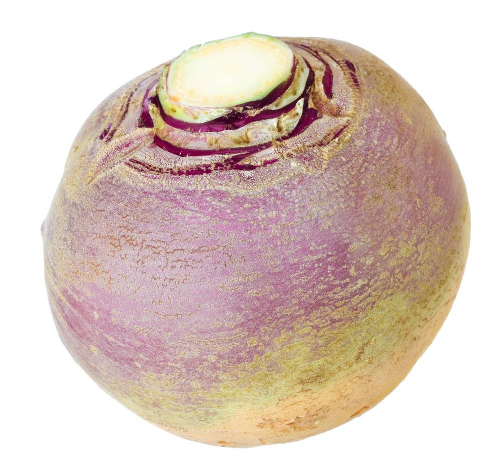 Stor Kålrot Norge