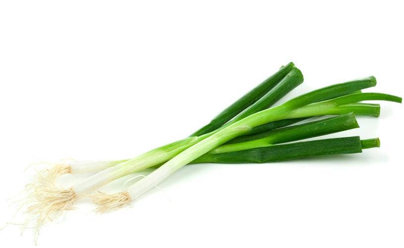 Vårløk i Bunt Italia / Tyskland