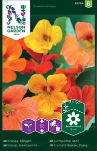 Nelson Garden Blomkarse stor mix