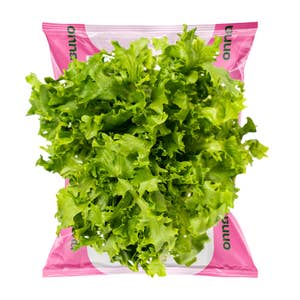 Stor spiseklar crispisalat