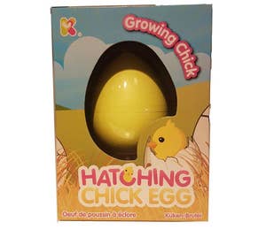 Sprell Magisk kyllingegg som klekkes i vann