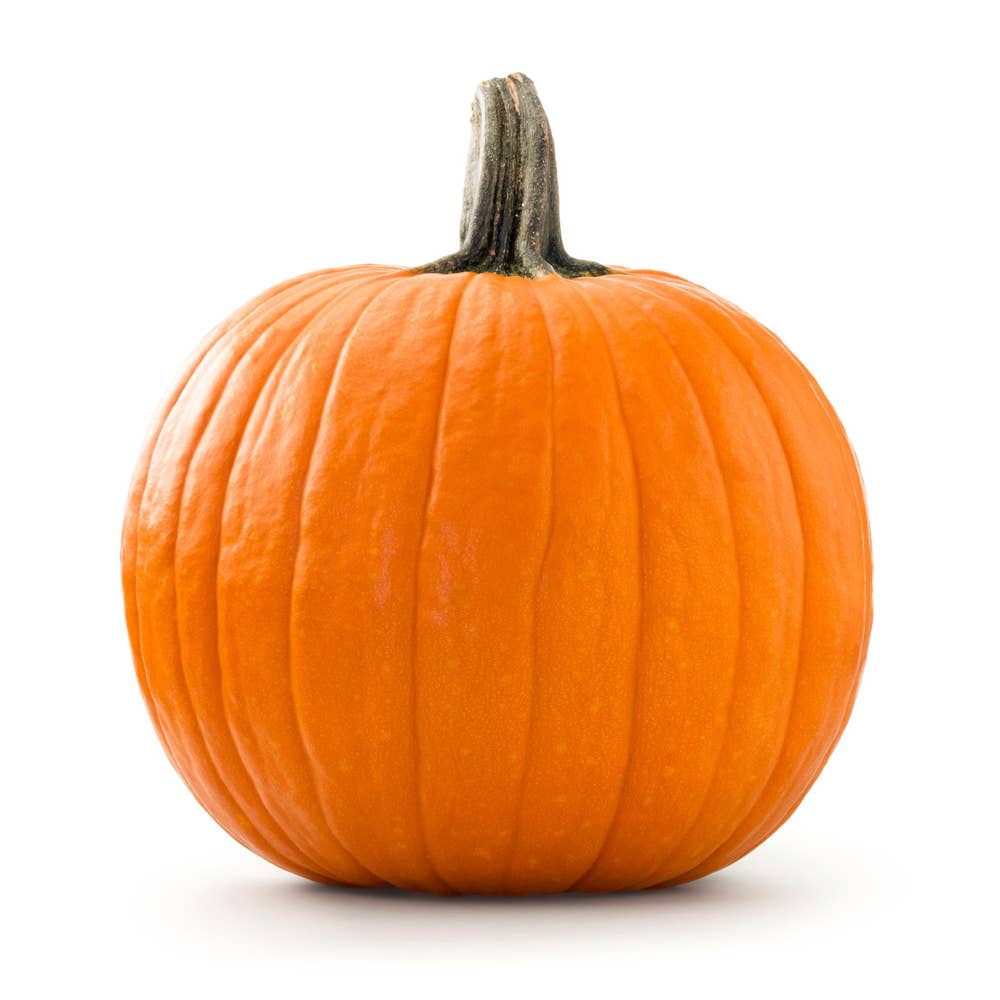 Halloween gresskar Norge