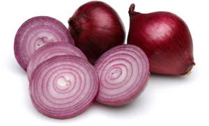 Økologisk Rødløk Nederland