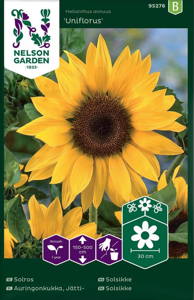 Nelson Garden Solsikke Kjempe gul