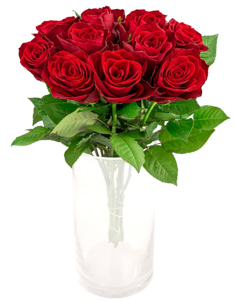 FreshFlowers Roser rød 50cm