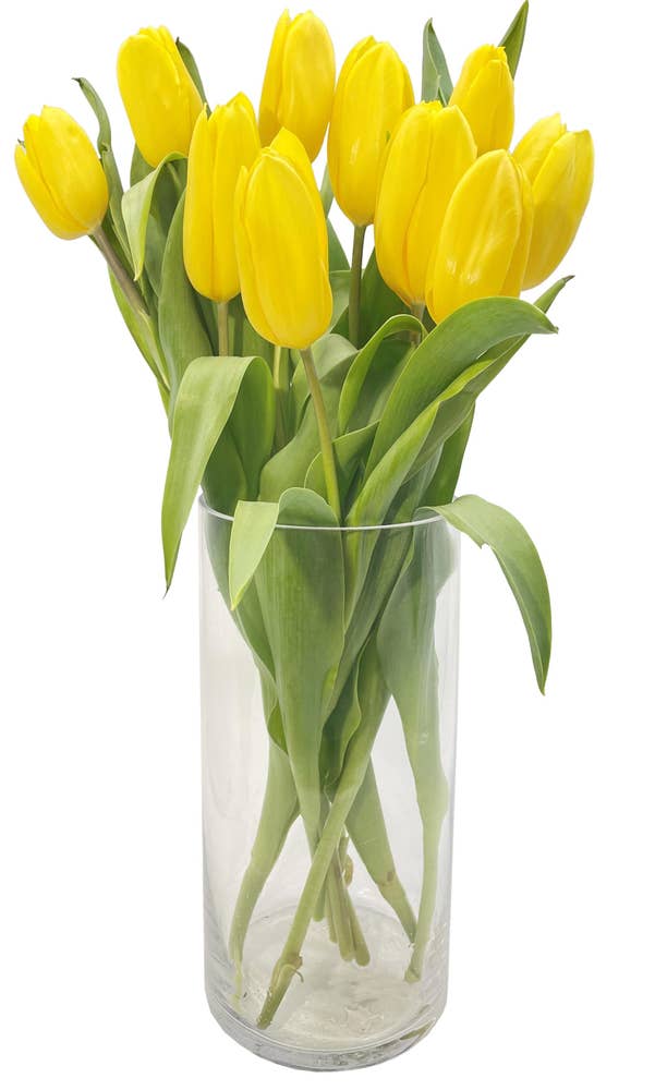 FreshFlowers Tulipaner gule