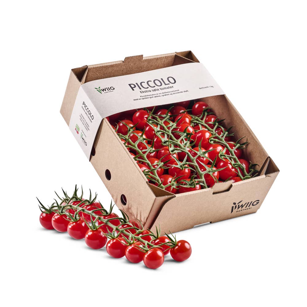Wiig Gartneri Ekstra søte piccolo tomater Norge
