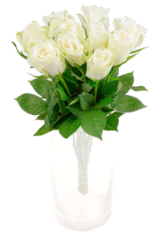 FreshFlowers Roser hvit 50cm