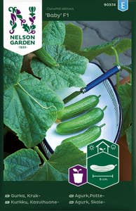 Nelson Garden Agurk potte veksthus Baby F1