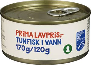 Tunfisk i vann