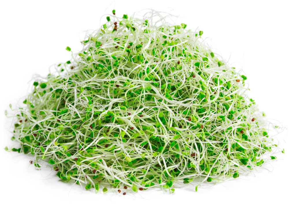 Økologiske Brokkolispirer Maks 10 per kunde, Norge, 50 g