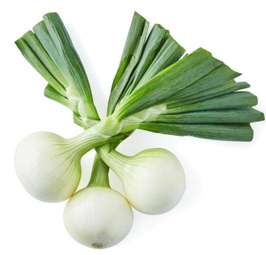 Fersk Gul løk i Bunt 500 g, Norge