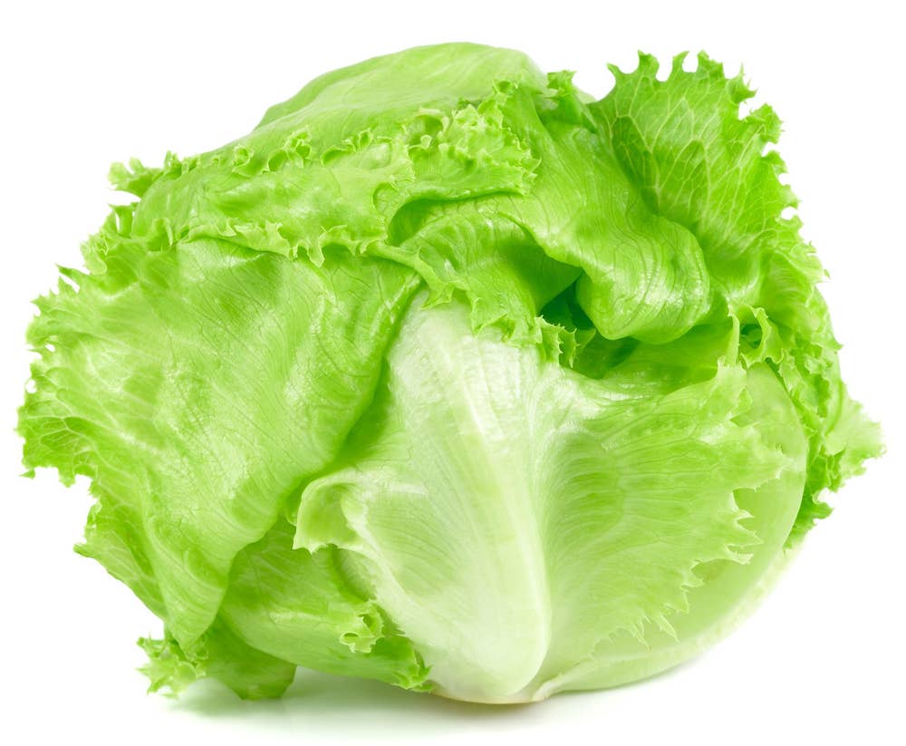 Økologisk isbergsalat Norge, 1 stk
