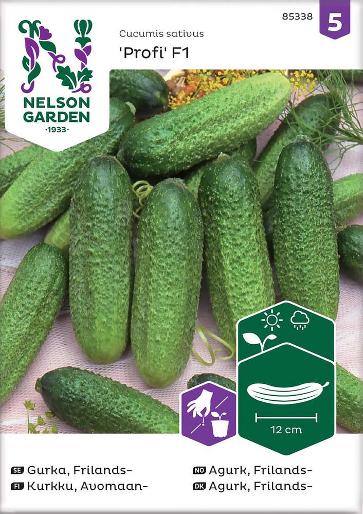 Nelson Garden Drueagurk Frø