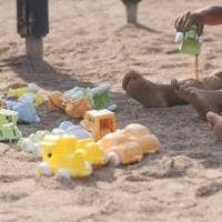 Sprell Små kjøretøy i bioplast Assortert variant