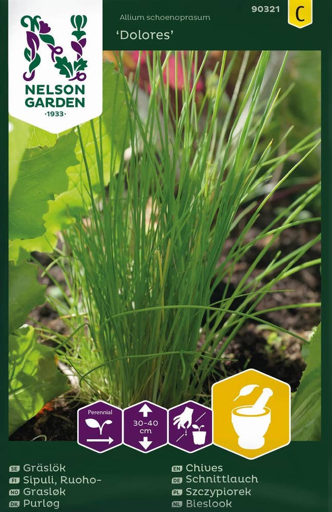 Nelson Garden Gressløk Dolores