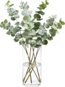 MIMEA Eucalyptus 45cm