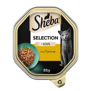 Sheba Selection Våtfôr til katter i skål med lam og kylling i saus