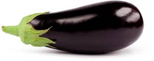 Aubergine Spania / Nederland
