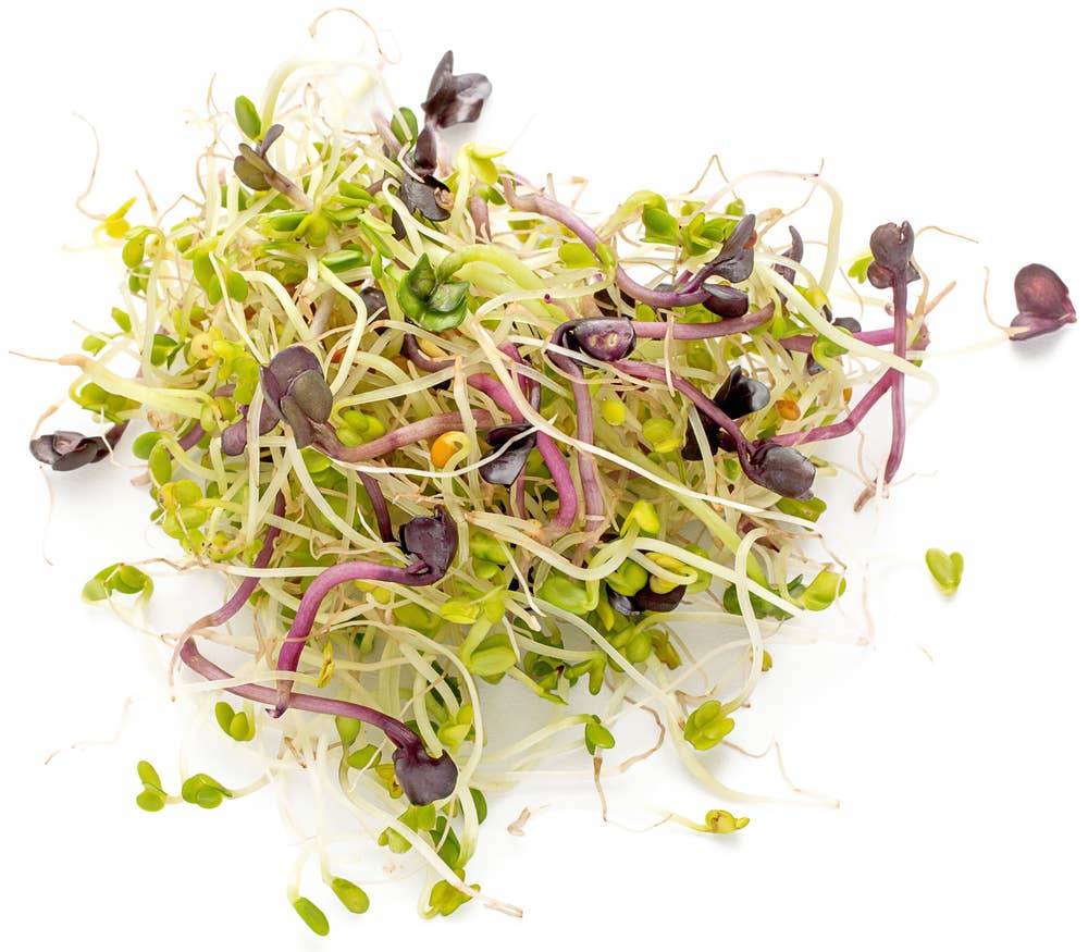 Økologisk Spiremix, Spicymix av Brocolli, Reddik, Kløver Maks 10 per kunde, Norge, 50 g