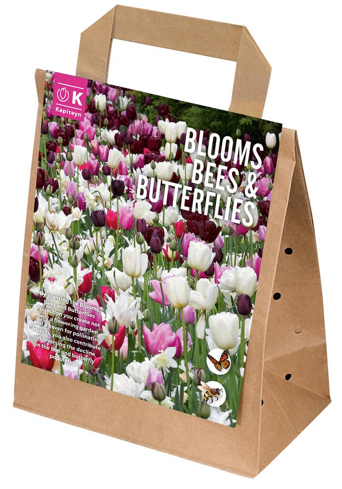 MIMEA Bievennlig Blomsterløkmiks Rosa