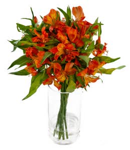 MIMEA Inkalilje oransje 50cm