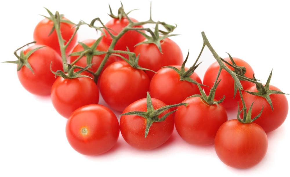 Økologiske Cherrytomater Norge