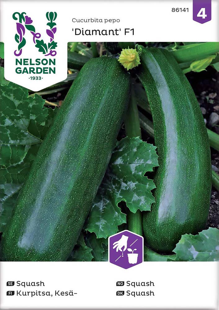 Nelson Garden Squash 'Diamant' Frø