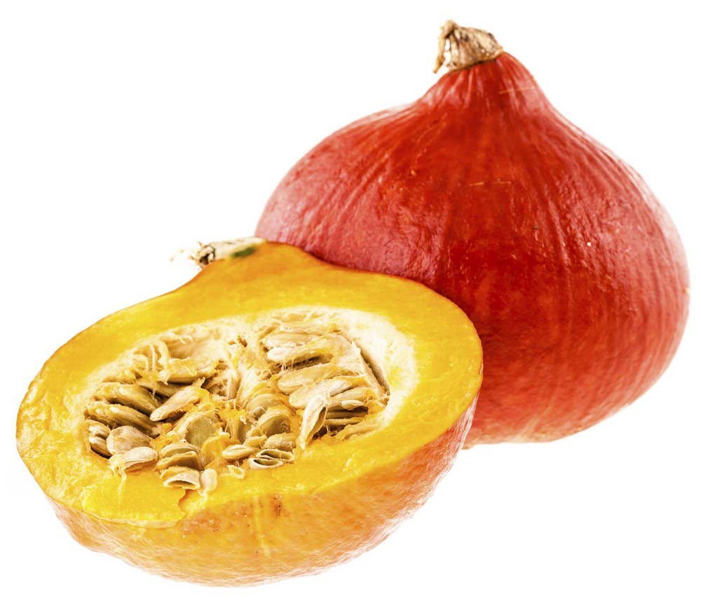 Gresskar Hokkaido Portugal / Nederland