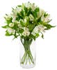 Flowers and plants