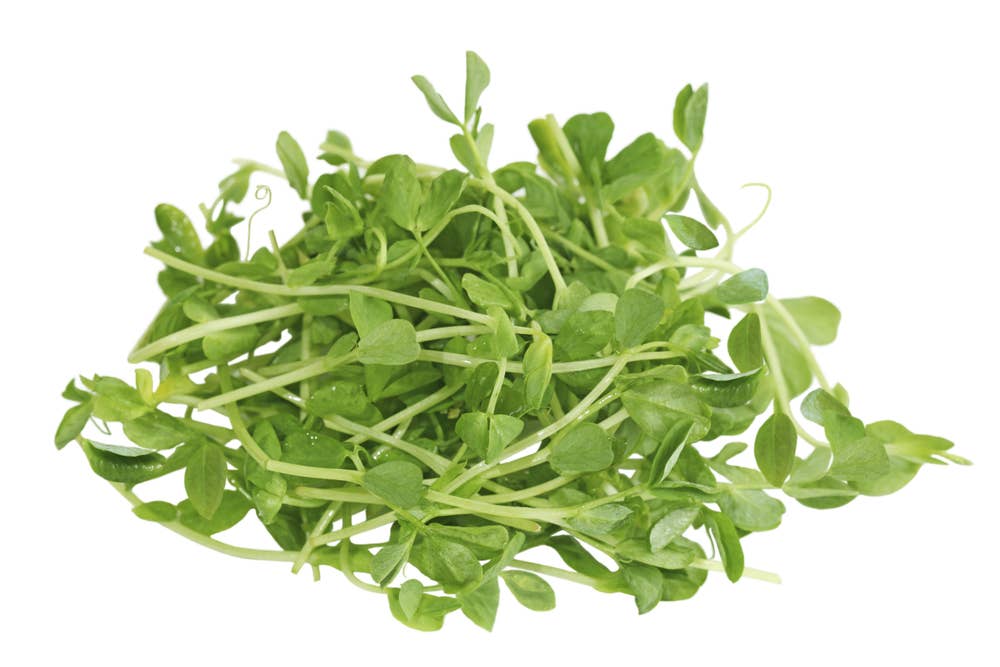 Økologiske Sukkerertspirer Maks 10 per kunde, Norge, 50 g