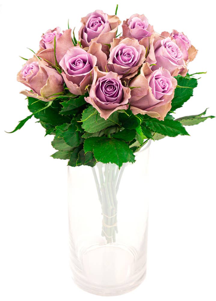FreshFlowers Nightingale roser lilla 50cm