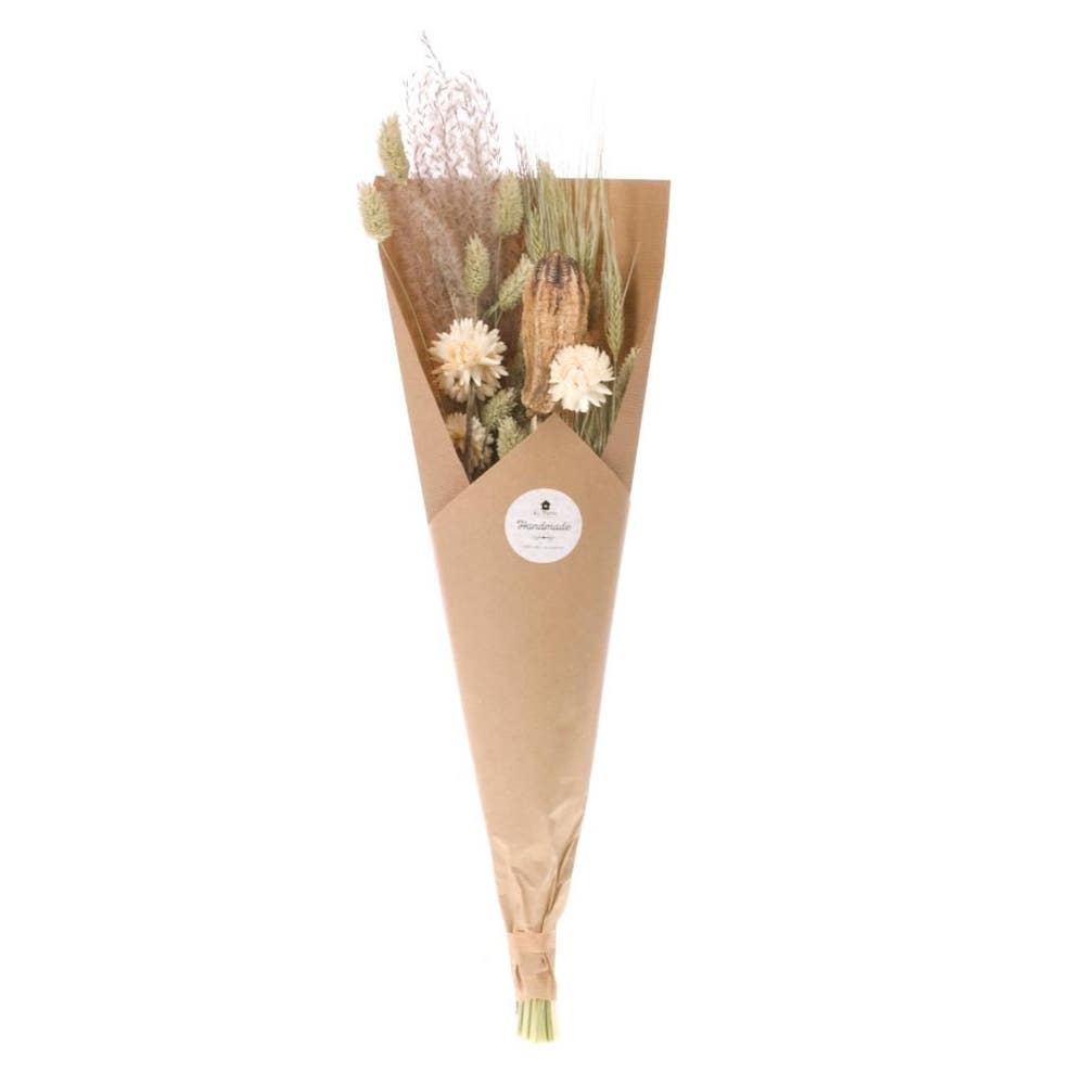 Botanik Botaniks Tørkede Bukett