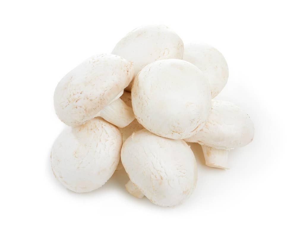 Stor Champignon Polen