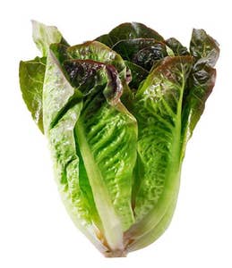 Romansallad röd Klass1 Spanien