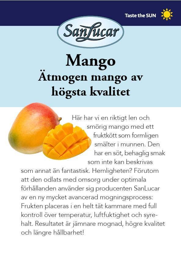 Mango Premium San Lucar Klass1 Brazil