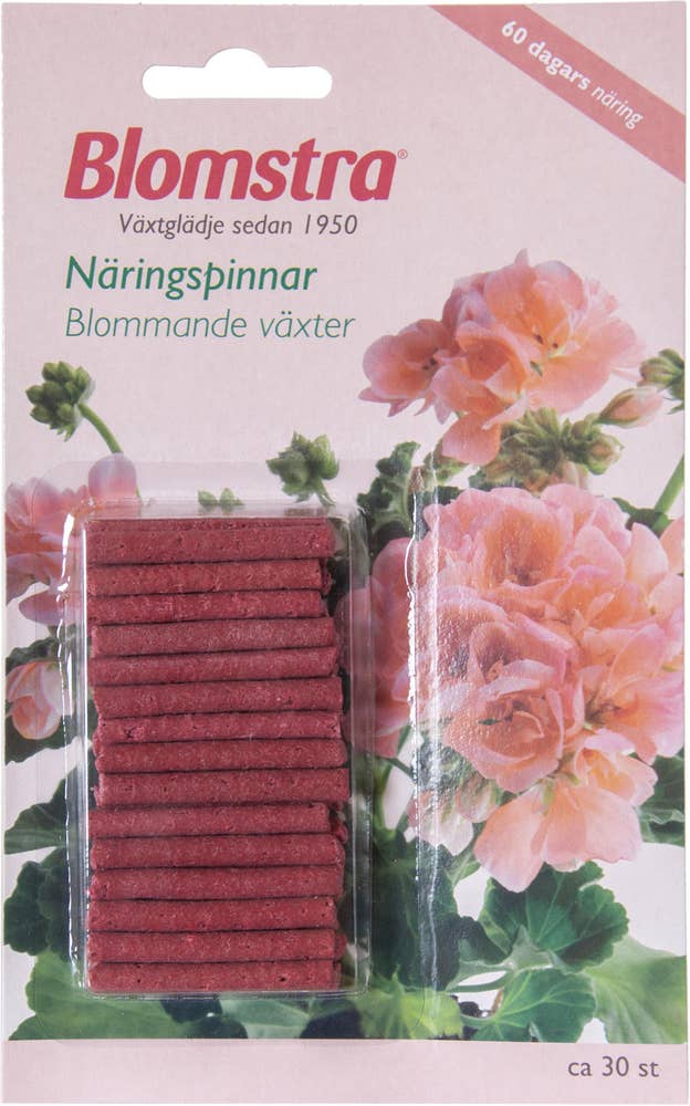 Blomstra Näringspinnar Blommande Växter