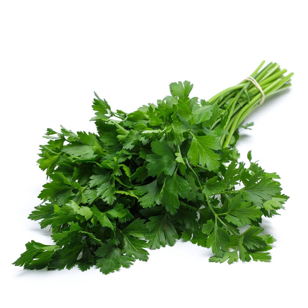 Bladpersilja knippe flow Klass1 Italien