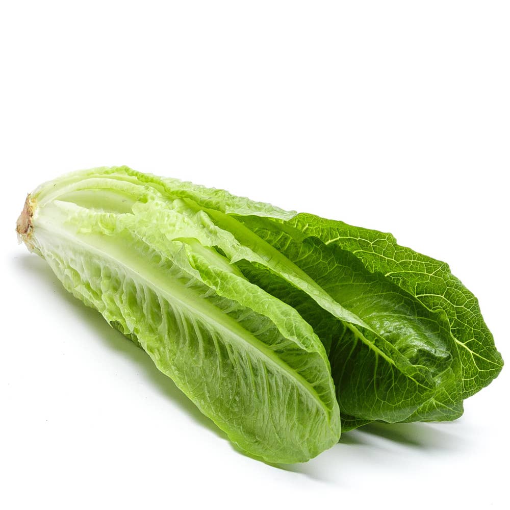 Romansallad EKO Klass1 Sverige