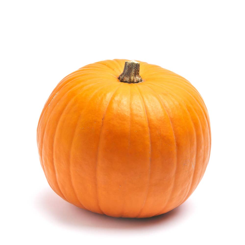 Pumpa Halloween Klass1 Spanien