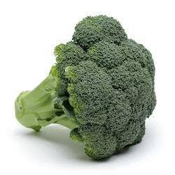 Broccoli Klass1 Nederländerna