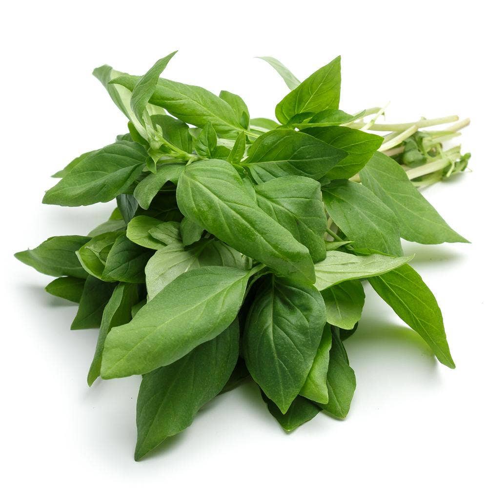 Basilika Thai KRAV flowpack Sverige