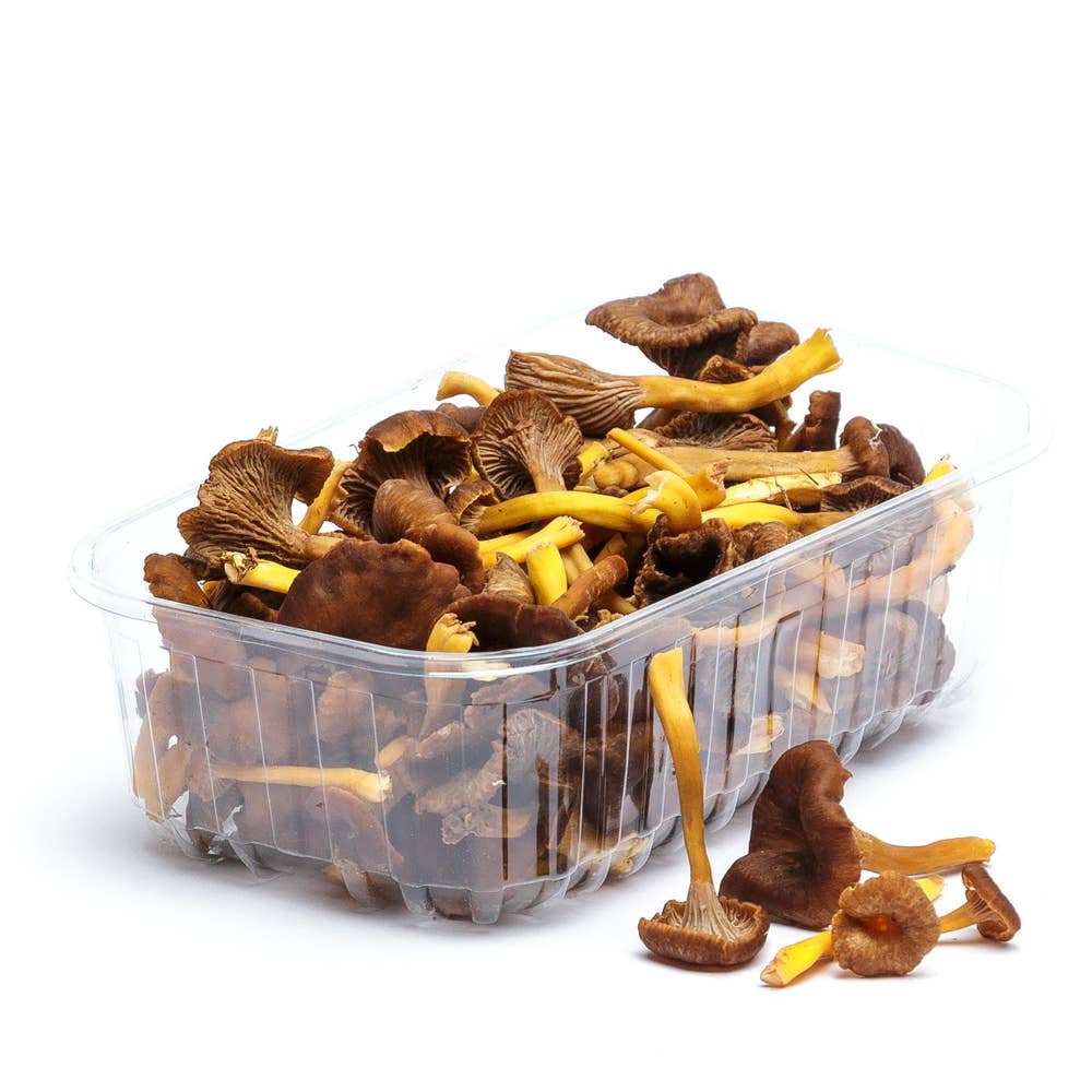 Trattkantareller Klass1 Sverige