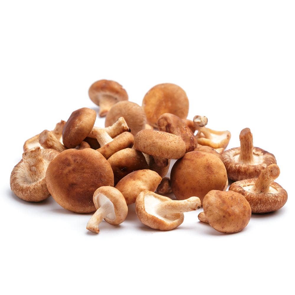 Svamp Shiitake EKO Klass1 Polen