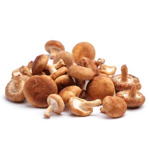 Svamp Shiitake EKO Klass1 Polen