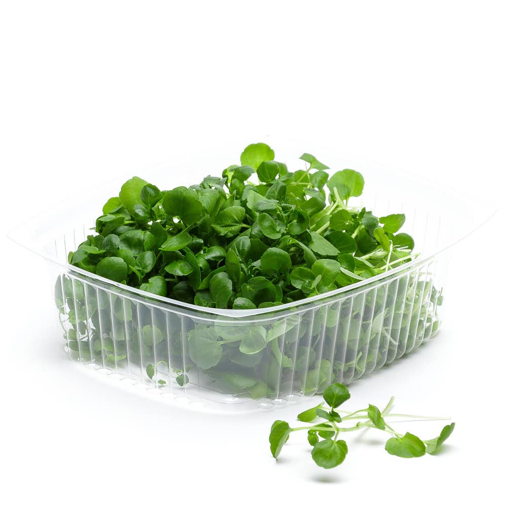 Vattenkrasse ask EKO Klass1 Sweden