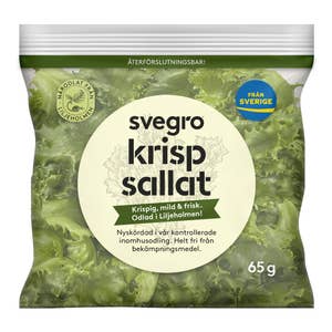 Krispsallat Stadsodlad Klass1 Sverige